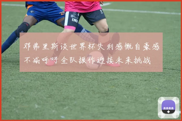 邓弗里斯谈世界杯失利感慨自豪感不减呼吁全队振作迎接未来挑战